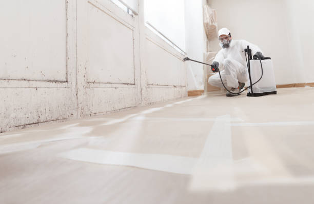 24/7 Emergency Mold Remediation experts in Clarksville, TX